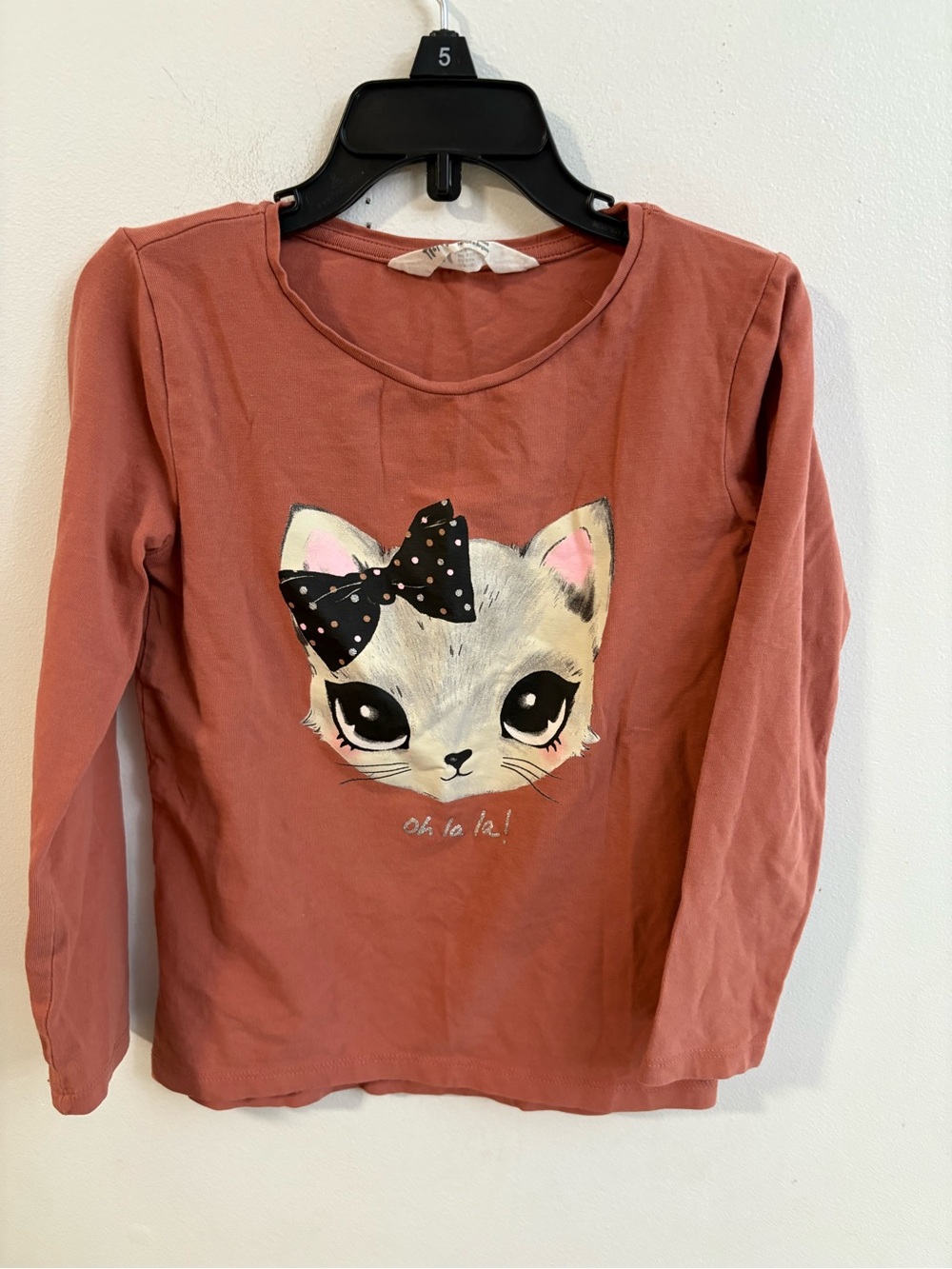 4/30$ H&M Long Sleeve Cat Graphic Tee - Rust 4-6 years